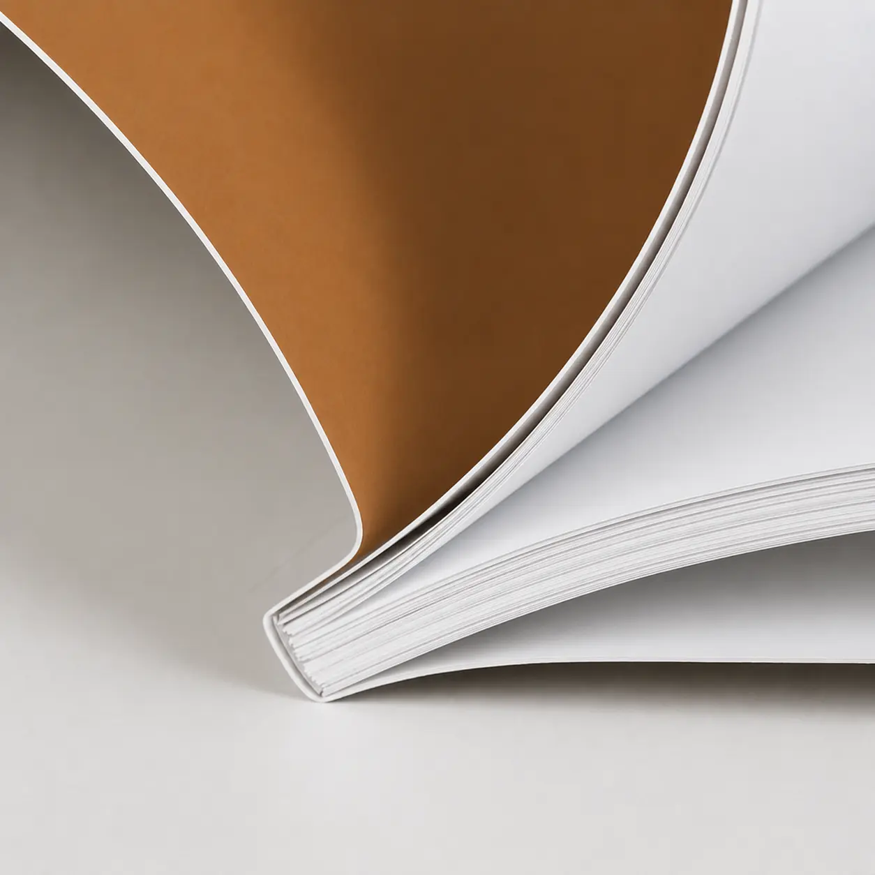 Woodworking, Furniture & Bookbinding